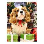 Navidad - rebelde arrogante del perro de aguas de  tarjeta postal