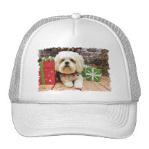 Navidad - Shih Tzu X - Gualterio Gorras