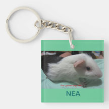 Nea Llavero