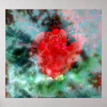 nebulosa 3 del tulipán poster