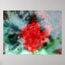 nebulosa del tulipán impresiones