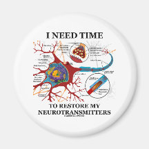 Necesito hora de restaurar mis neurotransmisores imán