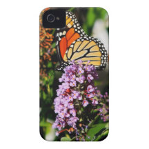 Néctar de la mariposa iPhone 4 Case-Mate coberturas