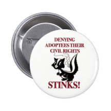 Negación de las derechas civiles pins