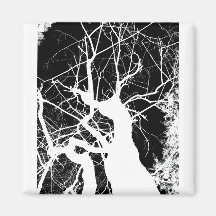 NEGATIVA BLANCO Y NEGRO DEL ÁRBOL WEBBY IMANES  
