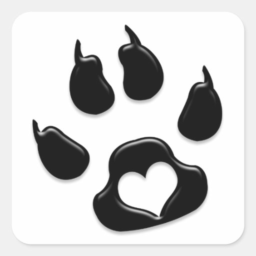 Negro de la impresión de la pata del gato colcomanias cuadradas