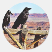 Negro de los pájaros de los cuervos de los cuervos etiquetas redondas