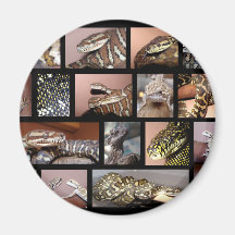 Negro del collage del reptil de Steph Imán De Nevera