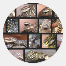 Negro del collage del reptil de Steph Pegatinas