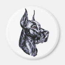 Negro del estudio de la cabeza de great dane iman para frigorífico