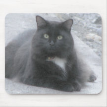 negro del gato del EL [watercolour] Tapete De Ratón