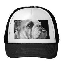 Negro inglés del gorra del dogo