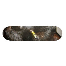 Negro peludo de las barbas de los ojos de gatos monopatin personalizado