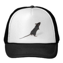 negro-ratón gorros bordados
