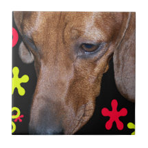 Negro, rojo, y amarillo de Doxie w/retro del Dachs Azulejo Ceramica