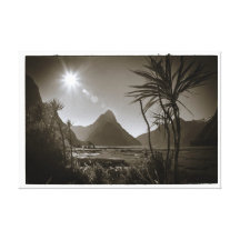 Negro y blanco de Milford Sound Impresión De Lienzo