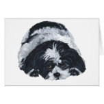 Negro y blanco de Shih Tzu Felicitación