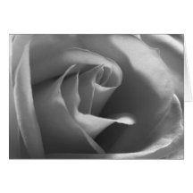 Negro-y-Blanco-Rosa Felicitación