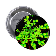 Neon Flower Buttons