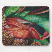 Nepenthes del arte de la acuarela de Borneo Tapetes De Ratones