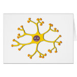 Nervenzelle Neuron Karte