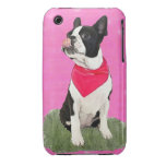 Nessie la Boston iPhone 3 Case-Mate Coberturas