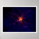 Neurona Impresiones