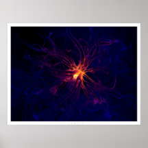 Neurona Impresiones