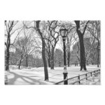 Nevadas B&W del Central Park Impresión Fotográfica