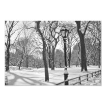 Nevadas B&W del Central Park Impresión Fotográfica