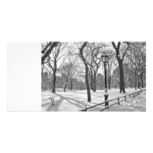 Nevadas B&W del Central Park Tarjetas Fotograficas