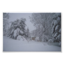 Nevadas calladas fotografía  