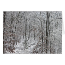 Nevadas en mtns del SC Tarjeton