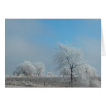 ¡Nevó hoy! Tarjetas