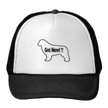Newf conseguido gorros  