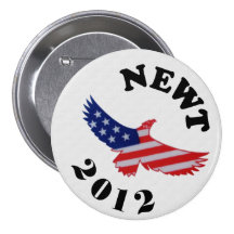 NEWT 2012 PINS