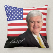 Newt Gingrich - vea ambos lados Cojines