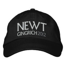 NEWT para el presidente 2012 Gorras Bordadas
