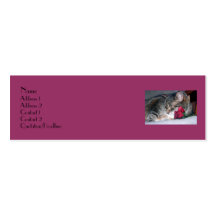 Nicky y una tarjeta color de rosa del perfil plantillas de tarjetas personales