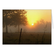 Niebla 1 tarjetas