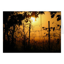 Niebla 2 tarjeta