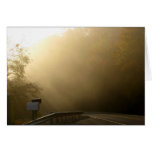 Niebla 4 tarjetas