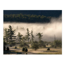 Niebla de la mañana en el Adirondacks 4 Tarjetas Postales