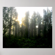 Niebla de la mañana en Missouri Poster