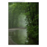 Niebla en el bosque tarjeta