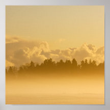 niebla en el campo durante el verano poster