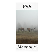 ¡Niebla escarchada de la mañana, caballos, visita  Lona