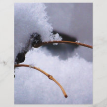 NIEVE 11 TARJETAS PUBLICITARIAS
