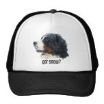 ¿nieve conseguida? Gorra de Bernese