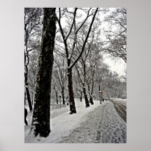 Nieve de Central Park 2010 - CIMG6411 Impresiones